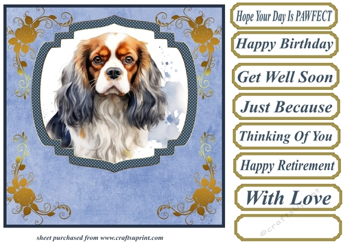 King Charles spaniel card front 11