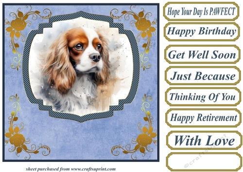 King Charles spaniel card front 12