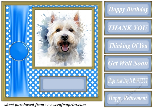 Its all about the splash West Highland terrier card front 1