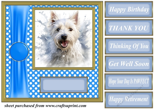 Its all about the splash West Highland terrier card front 2