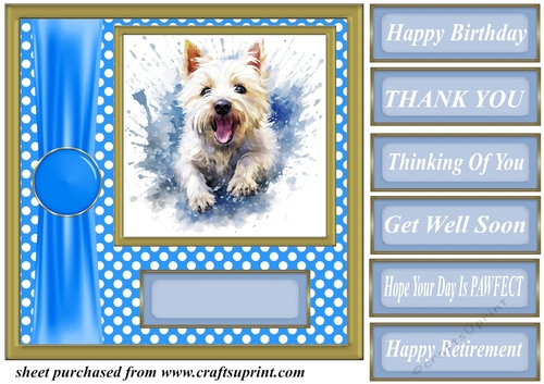 Its all about the splash West Highland terrier card front 11