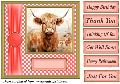 Orange polka dot Highland cow card front 1