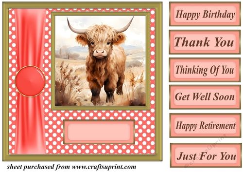 Orange polka dot Highland cow card front 2