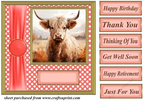 Orange polka dot Highland cow card front 4