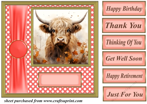 Orange polka dot Highland cow card front 5