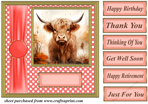 Orange polka dot Highland cow card front 6
