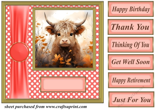 Orange polka dot Highland cow card front 7