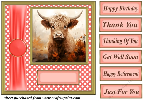 Orange polka dot Highland cow card front 9