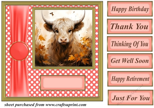Orange polka dot Highland cow card front 10