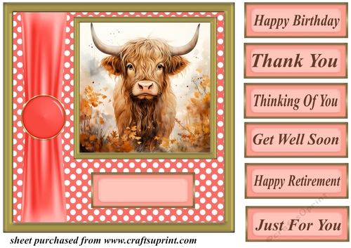 Orange polka dot Highland cow card front 11