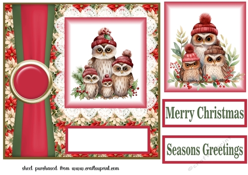 Poinsettia Christmas owl family card front 1