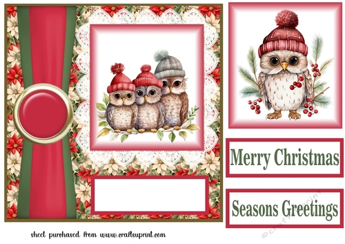 Poinsettia Christmas owl family card front 2