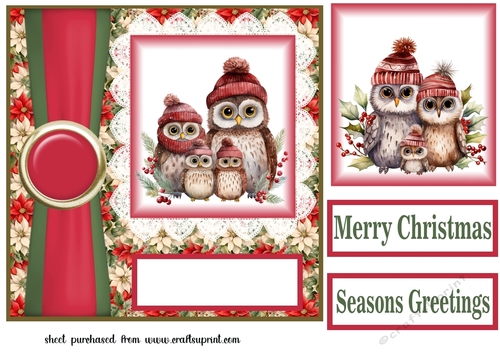 Poinsettia Christmas owl family card front 3