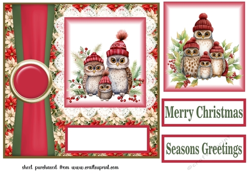 Poinsettia Christmas owl family card front 4
