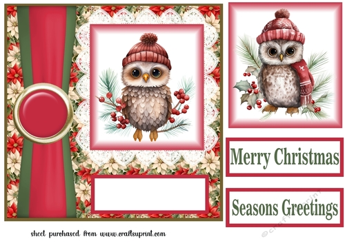 Poinsettia Christmas owl family card front 5