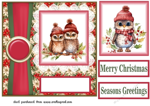 Poinsettia Christmas owl family card front 6