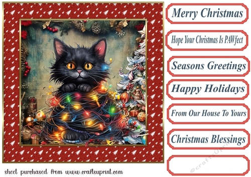 Black cat in a tangle Christmas card front 1