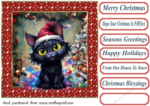 Black cat in a tangle Christmas card front 2