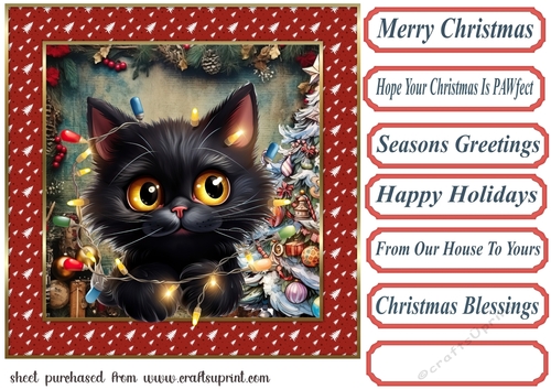 Black cat in a tangle Christmas card front 3