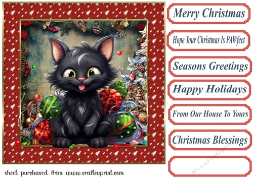 Black cat in a tangle Christmas card front 5
