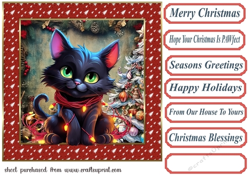 Black cat in a tangle Christmas card front 6