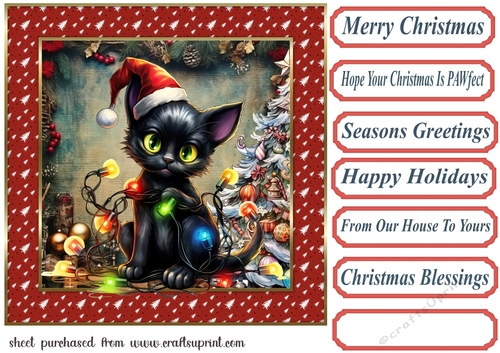 Black cat in a tangle Christmas card front 7