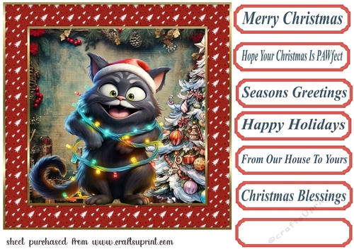 Black cat in a tangle Christmas card front 8