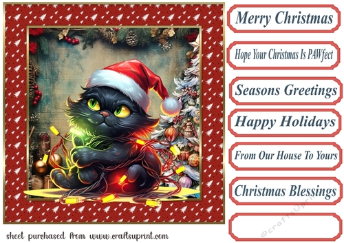 Black cat in a tangle Christmas card front 10