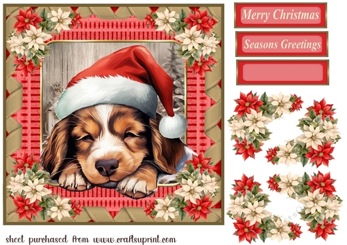 Sleeping Christmas pup card front 1