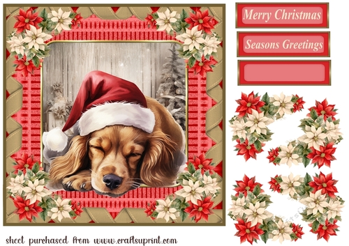 Sleeping Christmas pup card front 4