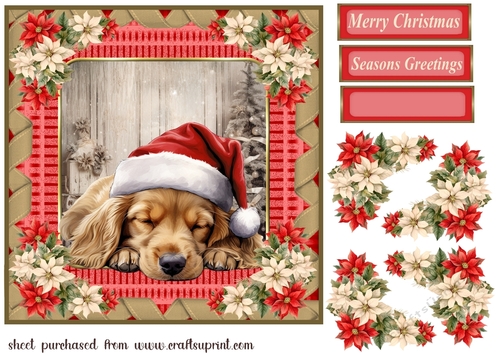 Sleeping Christmas pup card front 5