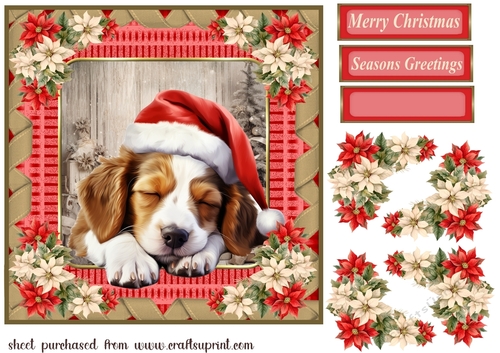 Sleeping Christmas pup card front 6