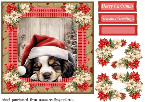 Sleeping Christmas pup card front 7