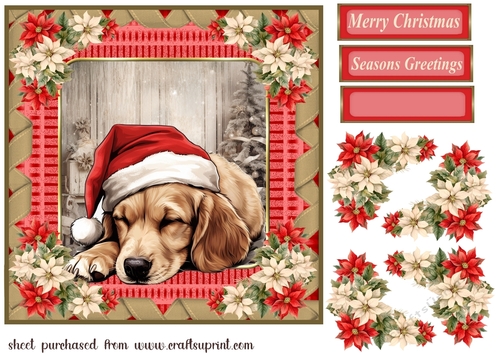 Sleeping Christmas pup card front 8