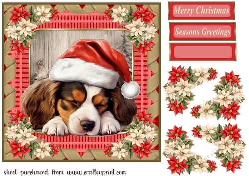 Sleeping Christmas pup card front 9