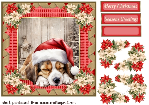 Sleeping Christmas pup card front 10