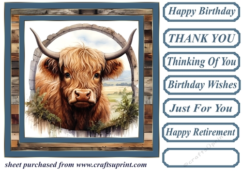 Blue framed Highland cow card front 2