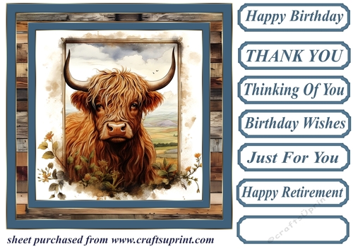 Blue framed Highland cow card front 3