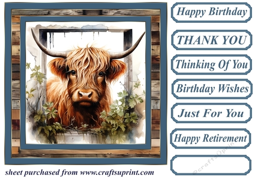 Blue framed Highland cow card front 4