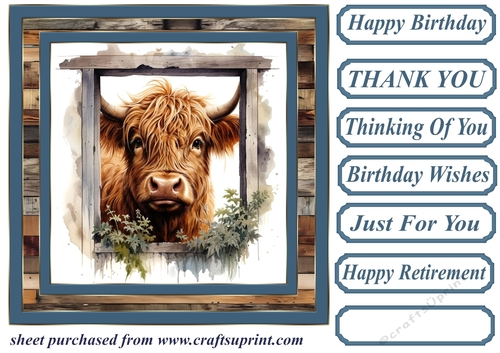Blue framed Highland cow card front 5