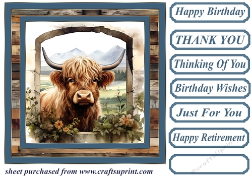 Blue framed Highland cow card front 6