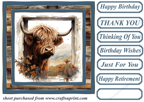 Blue framed Highland cow card front 7