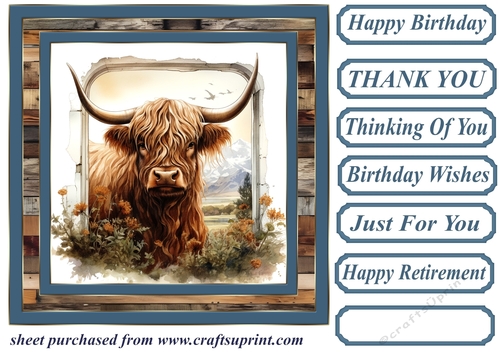 Blue framed Highland cow card front 8