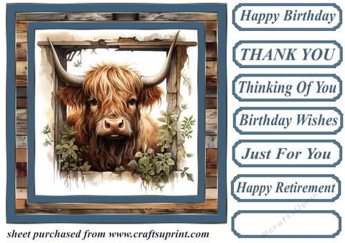 Blue framed Highland cow card front 9