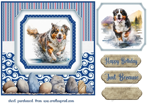 Running in the water dog card front 1