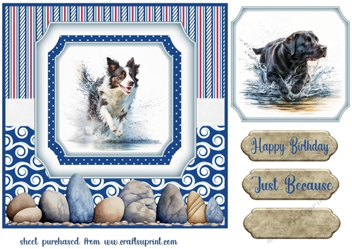 Running in the water dog card front 2
