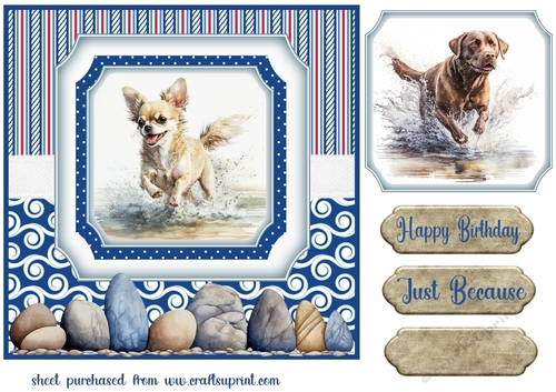 Running in the water dog card front 3