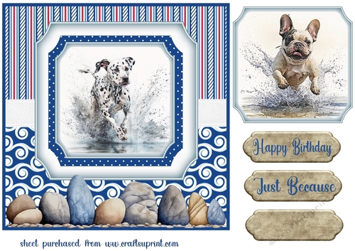 Running in the water dog card front 5