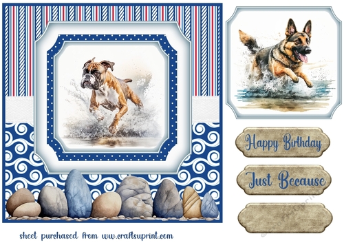 Running in the water dog card front 6