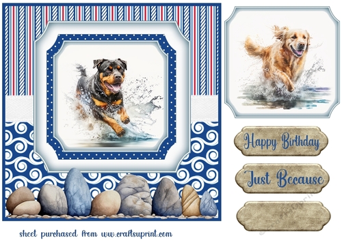 Running in the water dog card front 7